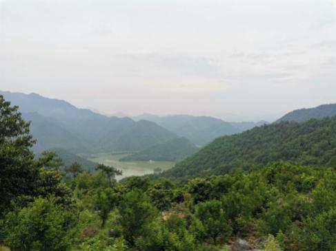 富阳1.jpg